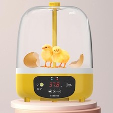 Hatching Machine Brooder Eggs
