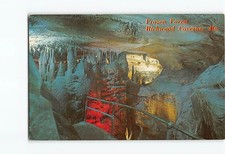Postcard Frozen Forest