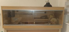 Vivexotic Terrestrial Vivarium Reptile Home Large Used With Accessories