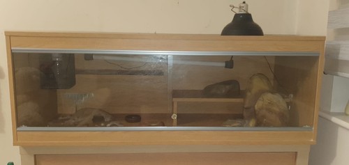 Vivexotic terrestrial vivarium - vivexotic,