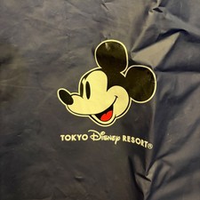 Tokyo Disney Resort Mickey