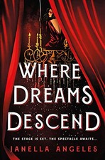 Where Dreams Descend: A Novel