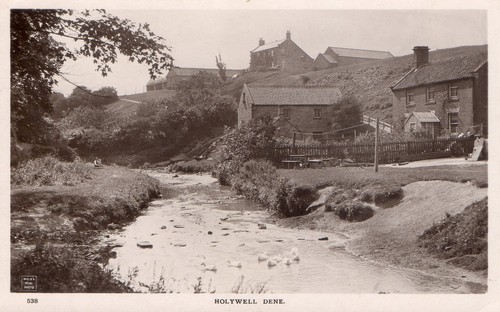Holywell dene near whitley - dene,