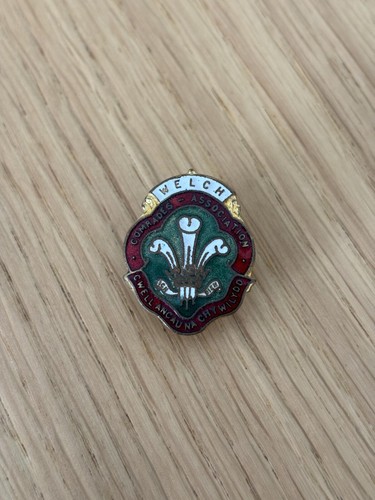Welsh comrades association - comrades,
