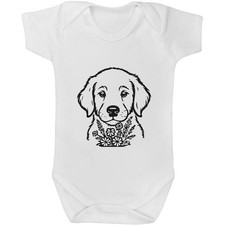 'Golden Retriever Puppy with
