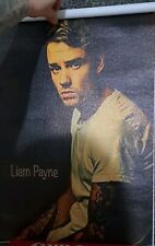One Direction Liam Payne Poster Canvas Material