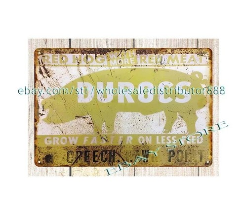Duroc hog pig - pig, livestock