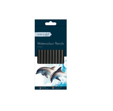 12 Watercolour Pencils Artist