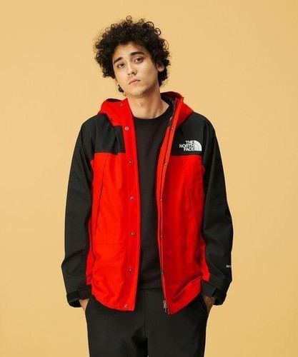 North face logo hoodie - logo,