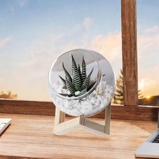 Glass Plant Pot Lightweight