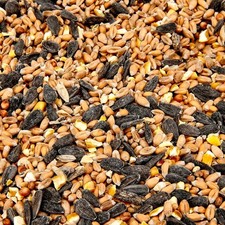 Wild bird food - wild, seed