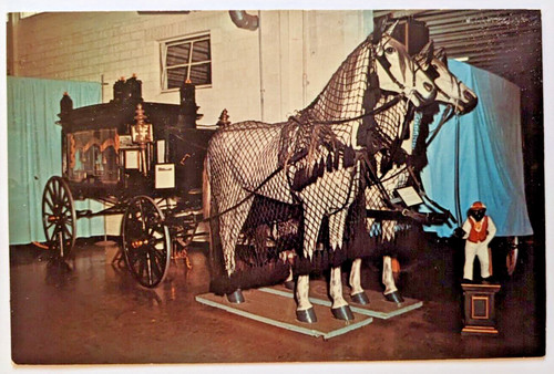 Horse drawn hearse from - drawn,