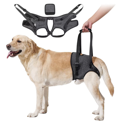 Dog rear leg support harness - dog,