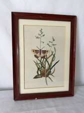 Vintage Framed Embroidered
