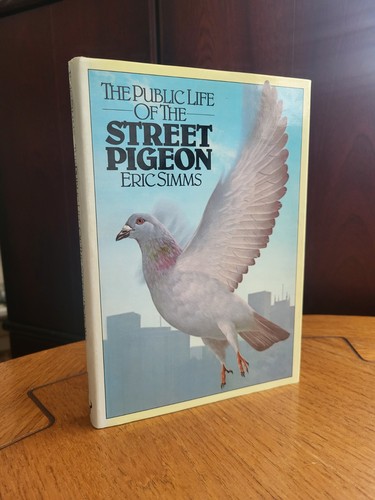 The public life - the, street
