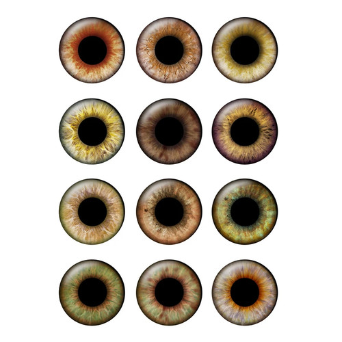 12pairs bag 14mm eyes chips - 14mm,