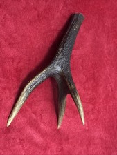 ONE PIECE OF DEER ANTLER