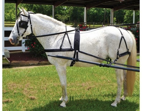 Horse driving harness black - horse,