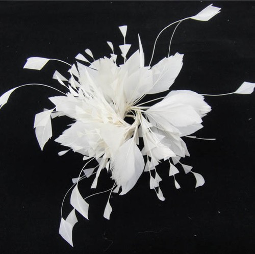 Twisted goose coque - goose, feather