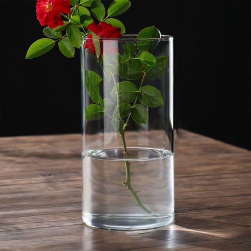 Transparent glass hydroponic - transparent,