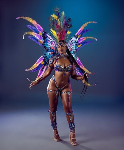 Carnival costume samba - carnival, costume,