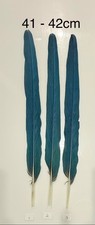 Parrot Macaw Feather Crafts