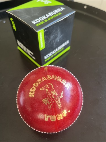 Kookaburra international men - international, men's