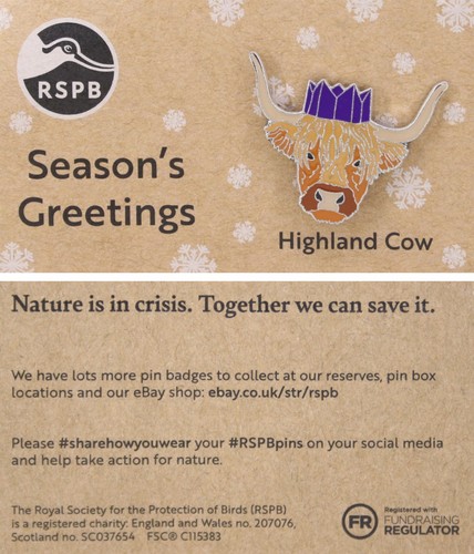 Rspb pin badge - niic, christmas