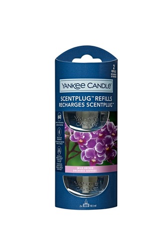 Wild orchid yankee - orchid, plug