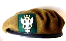 MERCIAN REGIMENT OFFICER