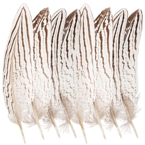 Pcs crafts plumes vase - 10,