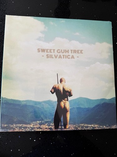 Sweet gum tree silvatica - silvatica,