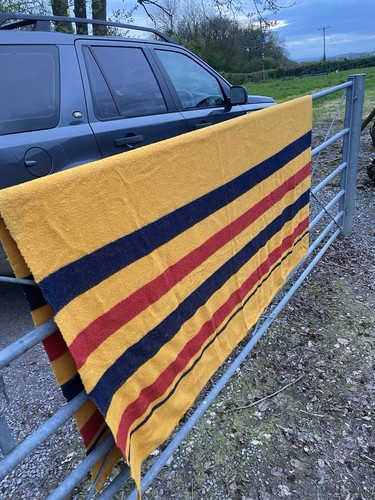 Whitney newmarket rug x - rug,
