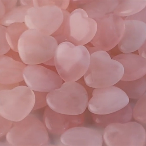 50pcs natural rose - 10/20/50pcs,