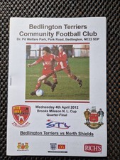 Bedlington Terriers FC