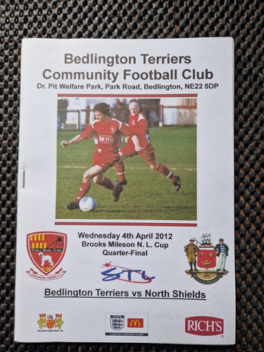 Bedlington terriers - bedlington,