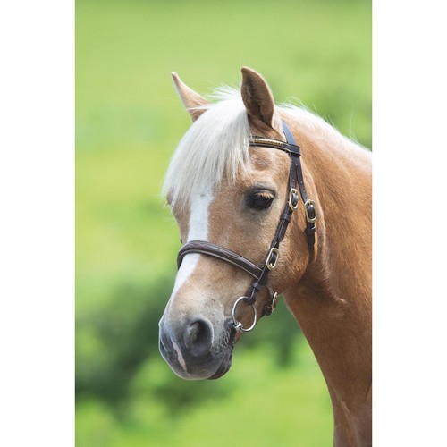 Shires velociti gara clincher - gara,