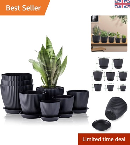 Elegant pack stripe flower - 8,