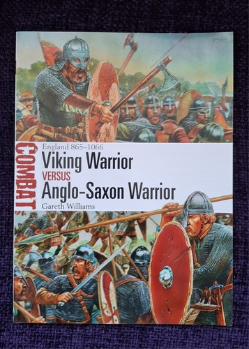 Viking warrior versus anglo - versus, anglo-
