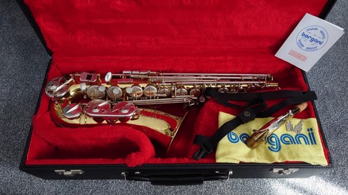 Borgani 166s professional - borgani,