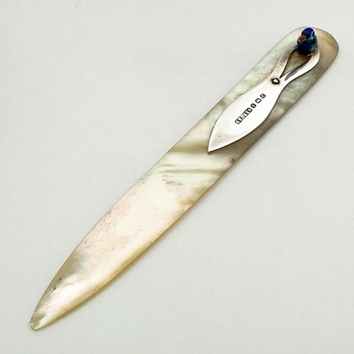Novelty bird combination - novelty,