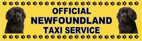 Newfoundland official taxi - newfoundland,