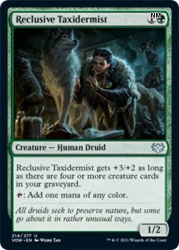Reclusive taxidermist - taxidermist,