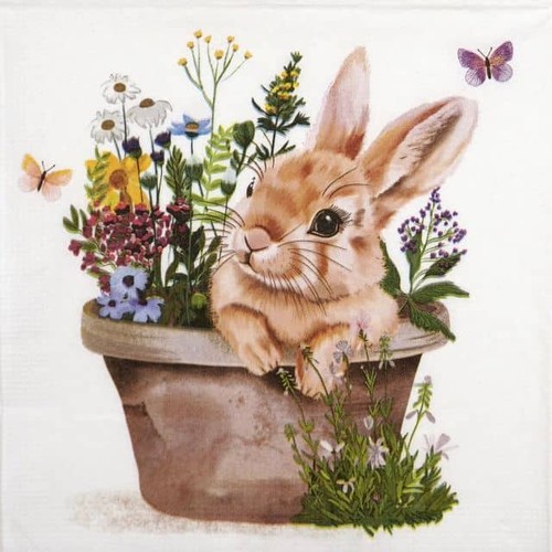 Single paper napkins for - 4x,