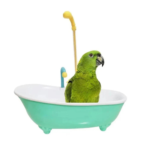 Parrot shower toy - toy, bird