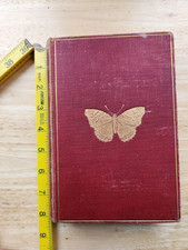 1897 British Butterflies and