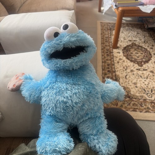 Sesame street cookie - street, monster