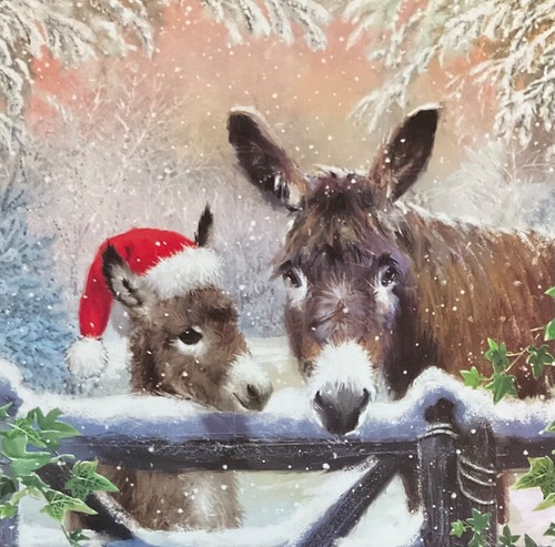 Charity christmas card - card, ~