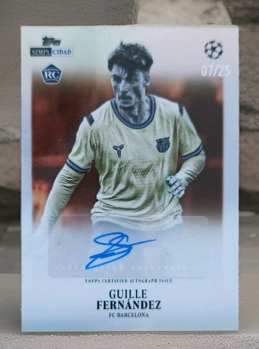Guille fernandez auto 25 - fernandez, rc