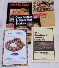 Corn snakes Rat snakes -